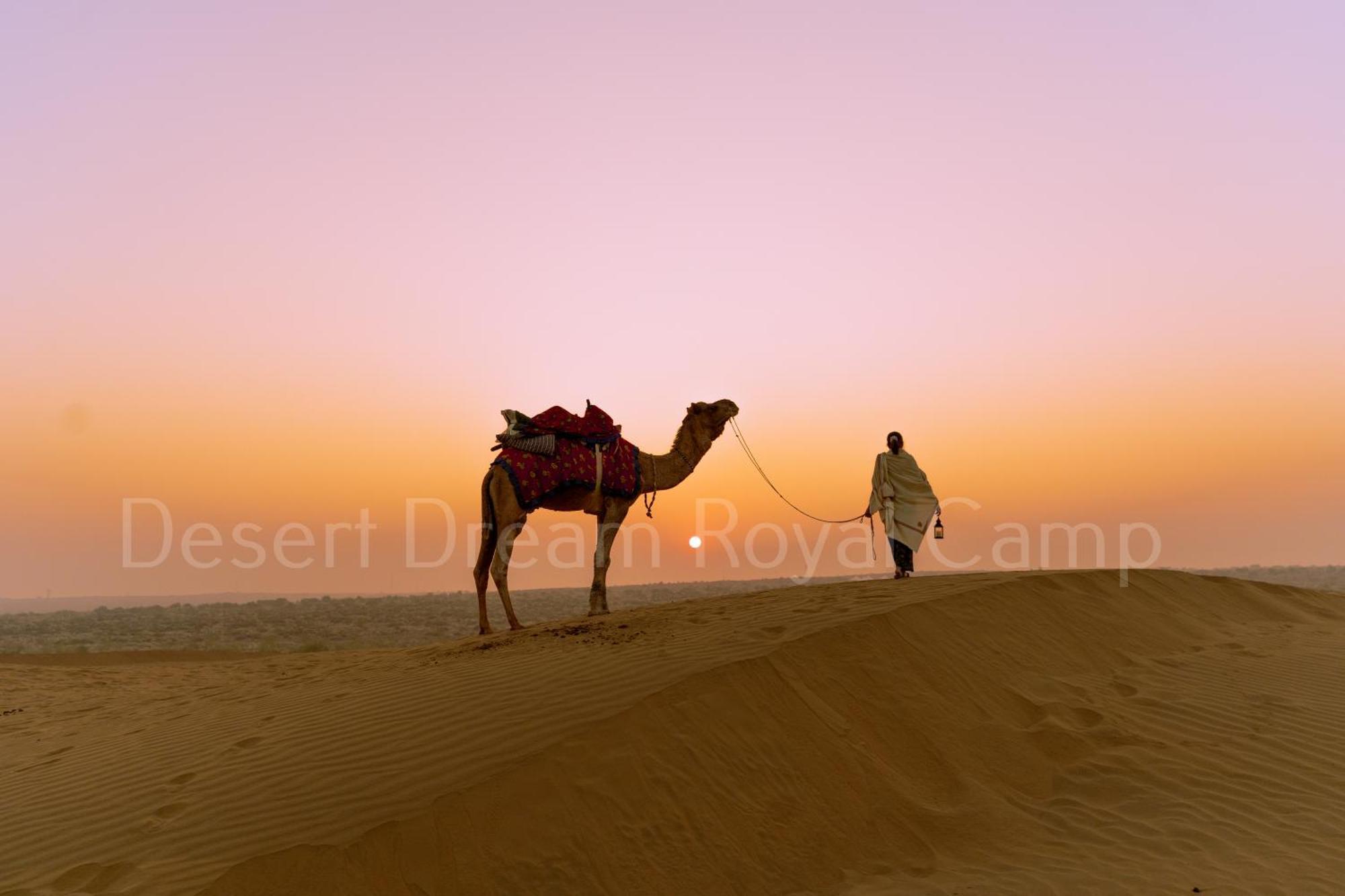 Готель Desert Dream Royal Camp With Pool Джайсалмер Екстер'єр фото